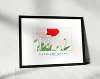 Tanigami Konan - Vintage poppy flower