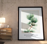 Megata Morikaga - Gayo matsu pine during 1870–1880