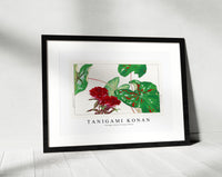 Tanigami Konan - Vintage sweet william flower