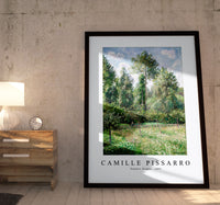 Camille Pissarro - Poplars, Éragny 1895