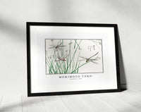 Morimoto Toko - Dragonflies illustration from Churui Gafu (1910)