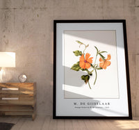 M. de Gijselaar - Orange flower by M. de Gijselaar (1820)