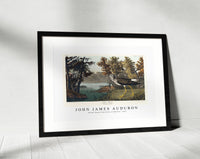 John James Audubon - Yellow Shank from Birds of America (1827)