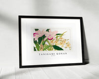 Tanigami Konan - Oncidium