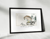 Numata Kashu - Osprey illustration from Pictorial Monograph of Birds (1885)