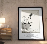 Numata Kashu - Tufted-Teal and Reed Flower illustration from Pictorial Monograph of Birds (1885)