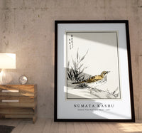 Numata Kashu - Chinese Tree-Pipit and Wheat illustration from Pictorial Monograph of Birds (1885)