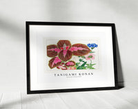 Tanigami Konan - Coleus & verbena flower