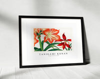 Tanigami Konan - Vintage amaryllis flower