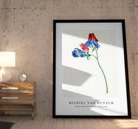 Michiel Van Huysum - Branch with two flowers1714-1760