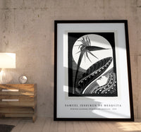 Samuel Jessurun De Mesquita - Strelitzia overblown (Uitgebloeide strelitzia) (1934)