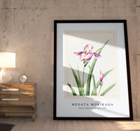 Megata Morikaga - Hana–strobel during 1870–1880