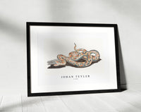 Johan Teyler - A snake