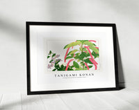 Tanigami Konan - Vintage heliotrope & acalypha flower