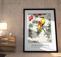 Numata Kashu - Chinese Bush-warbler and Drooping Peach iIllustration from Pictorial Monograph of Birds (1885)