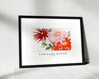 Tanigami Konan - Dahlia flower