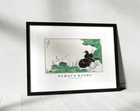 Numata Kashu - Coot and Lotus illustration from Pictorial Monograph of Birds (1885)