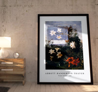 abbott handerson thayer - Flower Studies-1886