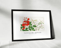 Tanigami Konan - Erythrina & panicum flower