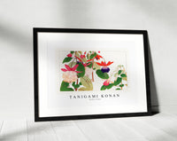 Tanigami Konan - Fuchsia flower