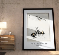 Numata Kashu - Swallow illustration from Pictorial Monograph of Birds (1885)