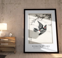 Numata Kashu - Hondo Great Spotted Woodpecker illustration from Pictorial Monograph of Birds (1885)