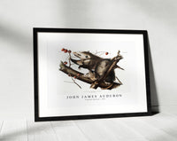 John James Audubon - Virginian Opossum