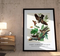 John James Audubon - Whip-poor-will from Birds of America (1827)