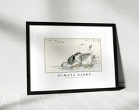 Numata Kashu - White Fronted Goose illustration from Pictorial Monograph of Birds (1885)