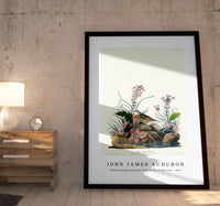 John James Audubon - Yellow-winged Sparrow from Birds of America (1827)