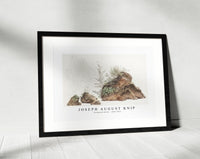 Joseph August Knip - Overgrown Rocks (ca. 1809–1812)