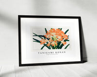 Tanigami Konan - Vintage cliviminiata flower