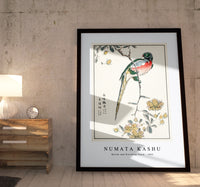 Numata Kashu - Macaw and Drooping Peach illustration from Pictorial Monograph of Birds (1885)