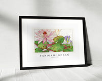 Tanigami Konan - Nymphaea lotus