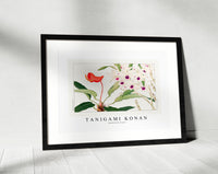 Tanigami Konan - Dendobium flower