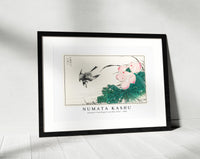 Numata Kashu - Japanese Pied Wagtail and Red Lotus illustration from Pictorial Monograph of Birds (1885)