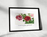 Tanigami Konan - Vintage petunia flower