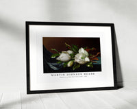 Martin Johnson Heade - Magnolias on Light Blue Velvet Cloth (ca. 1885)