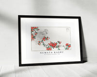 Numata Kashu - Parrot and Pyrus spectabilis illustration from Pictorial Monograph of Birds (1885)