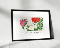 Tanigami Konan - Vintage mallow & jerusalem cross flower