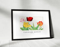 Tanigami Konan - Vintage tulip