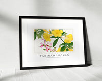 Tanigami Konan - Vintage clarkia & allamanda flower