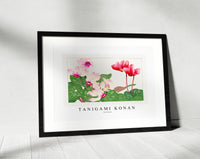 Tanigami Konan - Syclamen