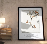 Numata Kashu - Siskin and Euonymus Alata illustration from Pictorial Monograph of Birds (1885)