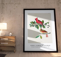 John James Audubon - Cardinal Grosbeak from Birds of America (1827)