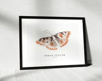 Johan Teyler - A butterfly