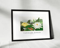 Tanigami Konan - Nymphaea lotus