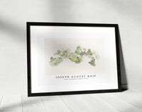 Joseph august Knip - Studie van bladeren (study of leaves)