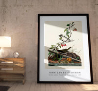 John James Audubon - Golden-crowned Thrush from Birds of America (1827)