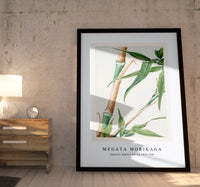 Megata Morikaga - Japanese Bamboo during 1870–1880